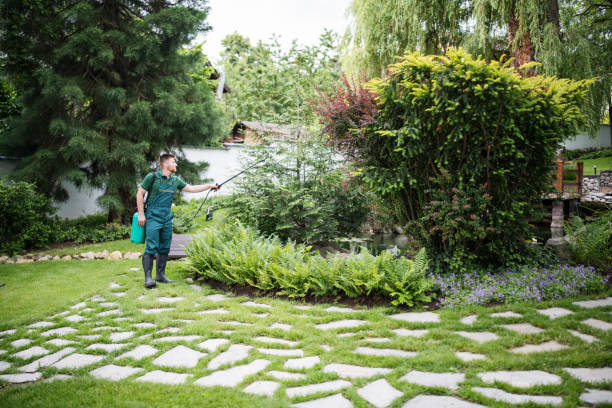 Best Wasp Removal Services  in Princeville, HI