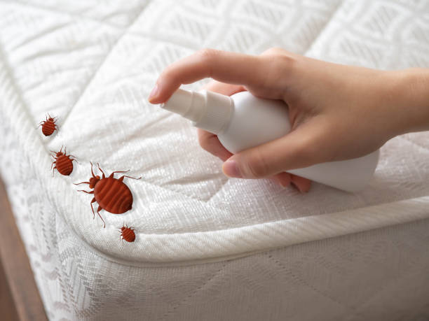 Trusted Princeville, HI Pest Control Experts